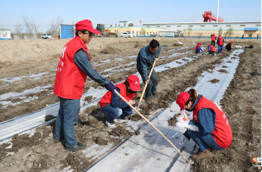 云顶集团4008(中国)官方网站