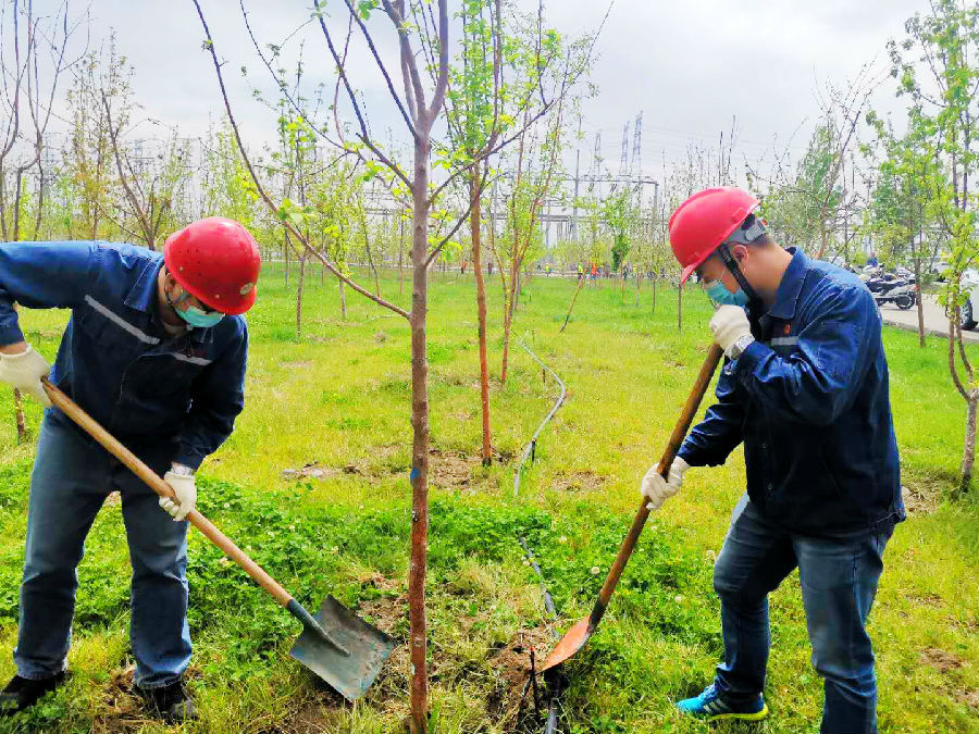 20200710151845_dxspon24ih