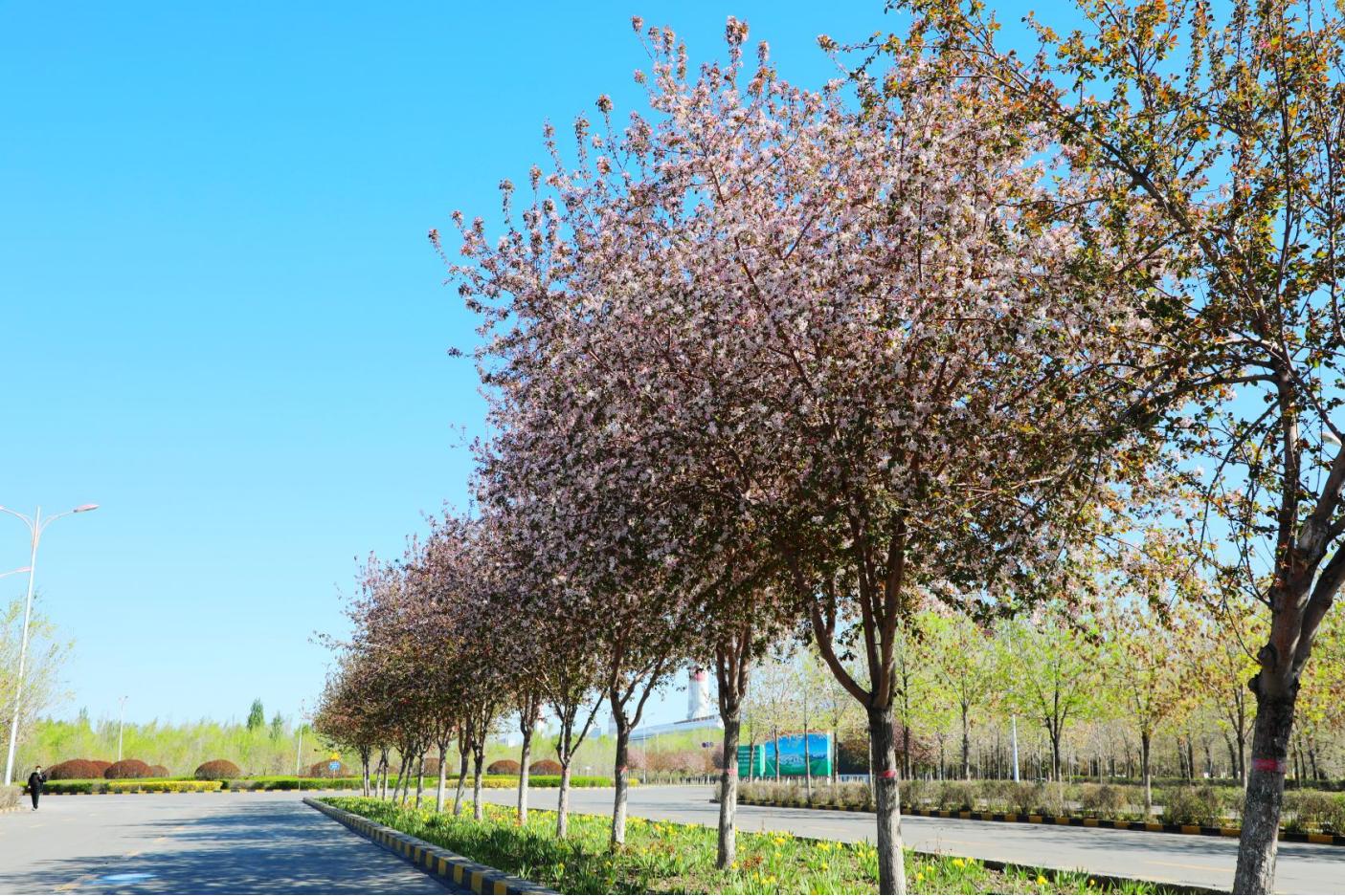 20250526162118_1dcdnc7w95