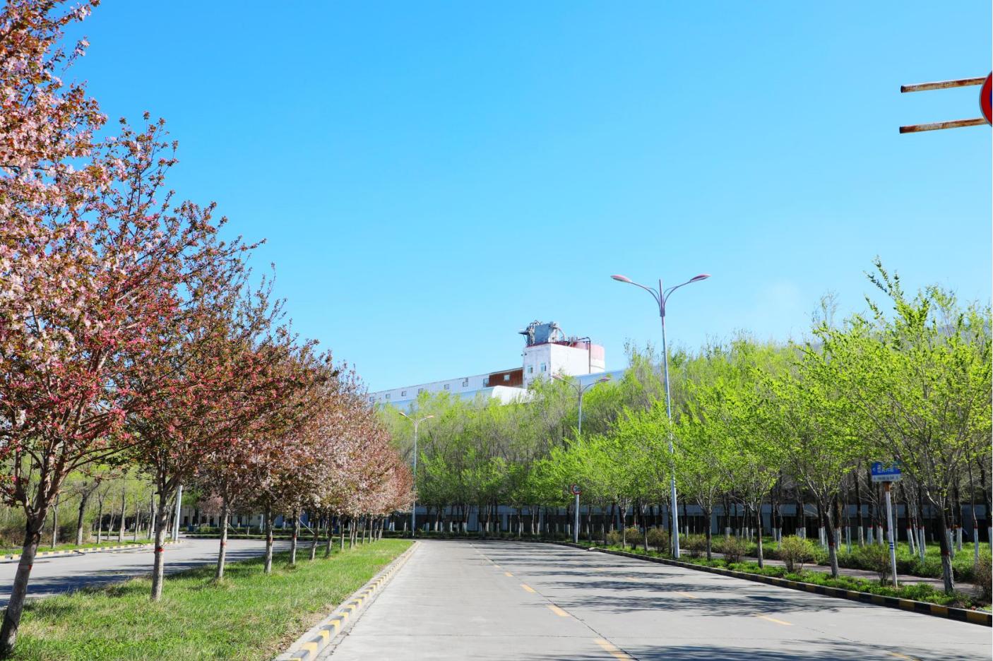 20250526162118_28xjkpqcji