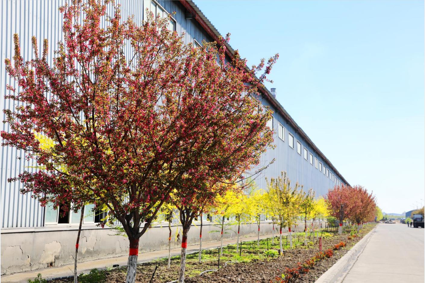 20250526162119_s1re47vtnv