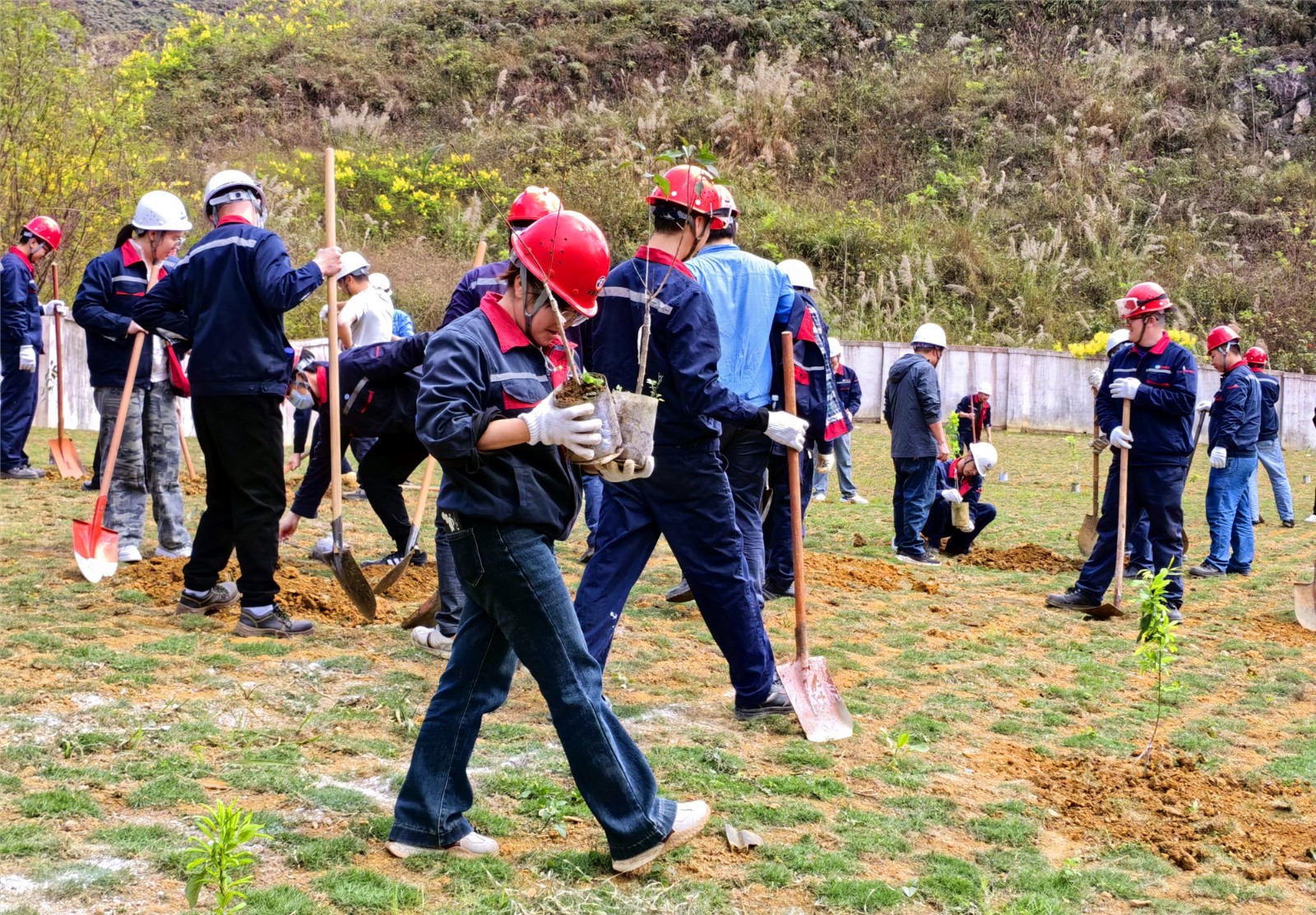 20260403103032_rli8hdxy5c